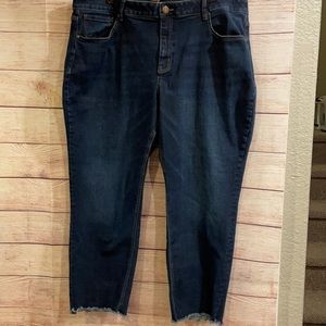 Lane Bryant denim size 22